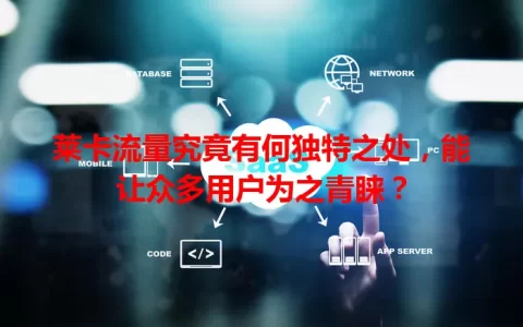 莱卡流量究竟有何独特之处，能让众多用户为之青睐？