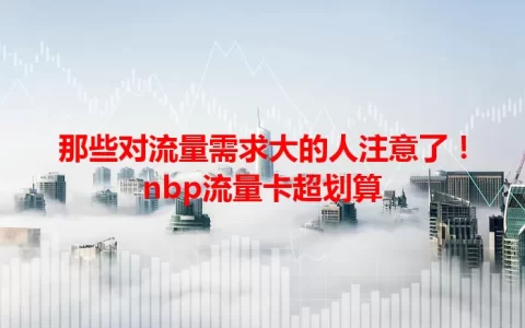 那些对流量需求大的人注意了！nbp流量卡超划算
