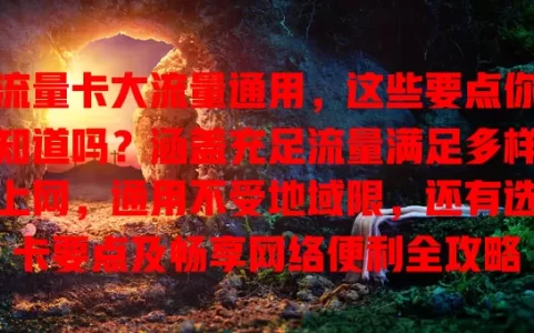 流量卡大流量通用，这些要点你知道吗？涵盖充足流量满足多样上网，通用不受地域限，还有选卡要点及畅享网络便利全攻略