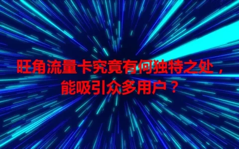 旺角流量卡究竟有何独特之处，能吸引众多用户？