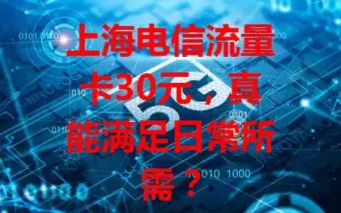 上海电信流量卡30元，真能满足日常所需？