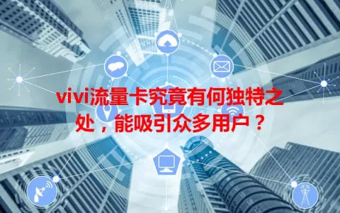 vivi流量卡究竟有何独特之处，能吸引众多用户？