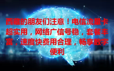 西藏的朋友们注意！电信流量卡超实用，网络广信号稳，套餐丰富，速度快费用合理，畅享数字便利