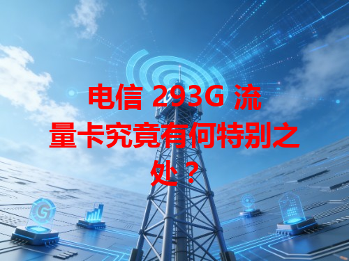 电信 293G 流量卡究竟有何特别之处？
