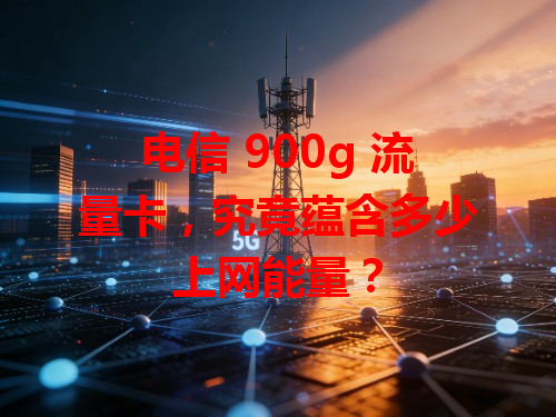 电信 900g 流量卡，究竟蕴含多少上网能量？