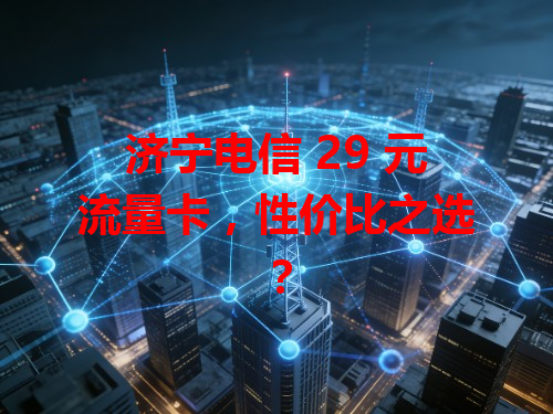 济宁电信 29 元流量卡，性价比之选？