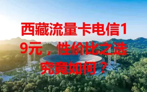 西藏流量卡电信19元，性价比之选究竟如何？
