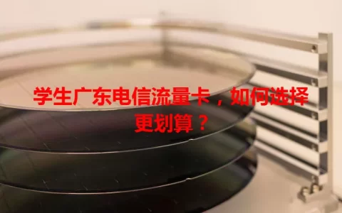 学生广东电信流量卡，如何选择更划算？