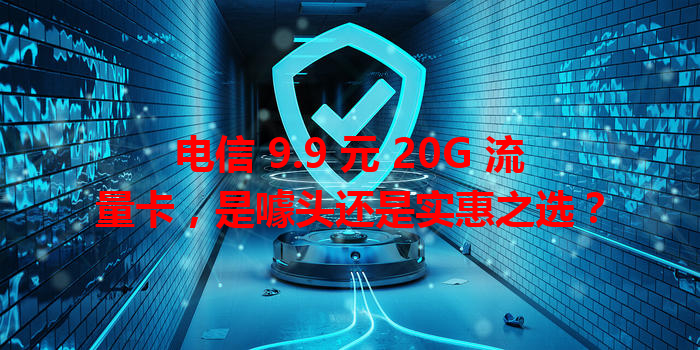 电信 9.9 元 20G 流量卡，是噱头还是实惠之选？