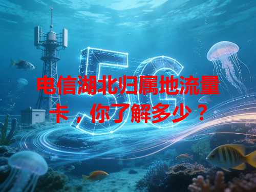 电信湖北归属地流量卡，你了解多少？