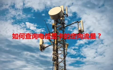 如何查询电信圣卡的定向流量？