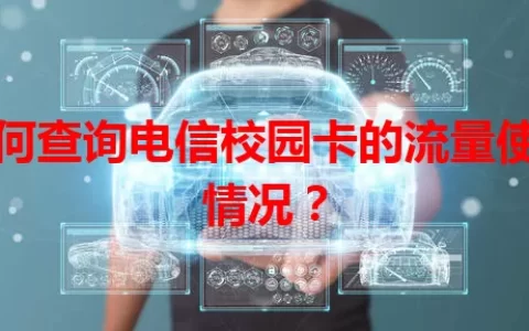 如何查询电信校园卡的流量使用情况？