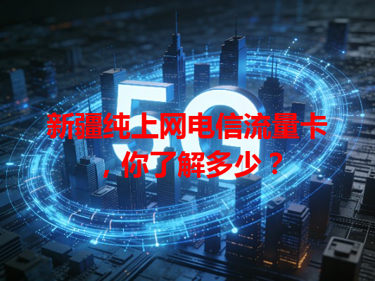 新疆纯上网电信流量卡，你了解多少？