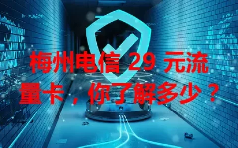 梅州电信 29 元流量卡，你了解多少？