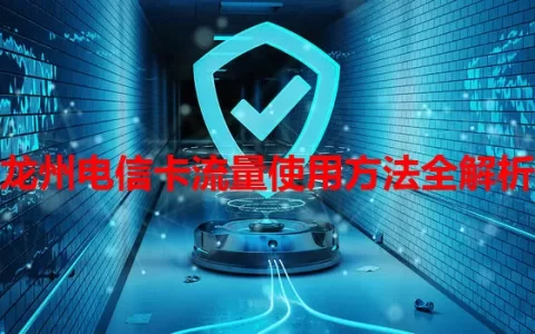 龙州电信卡流量使用方法全解析