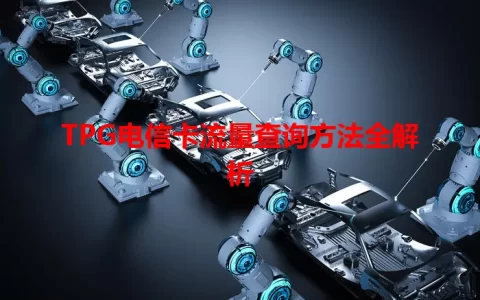 TPG电信卡流量查询方法全解析