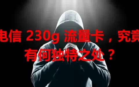 电信 230g 流量卡，究竟有何独特之处？