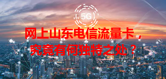 网上山东电信流量卡，究竟有何独特之处？