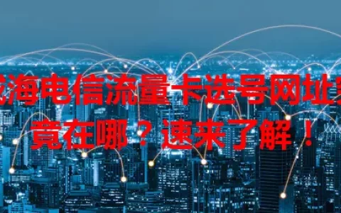 威海电信流量卡选号网址究竟在哪？速来了解！