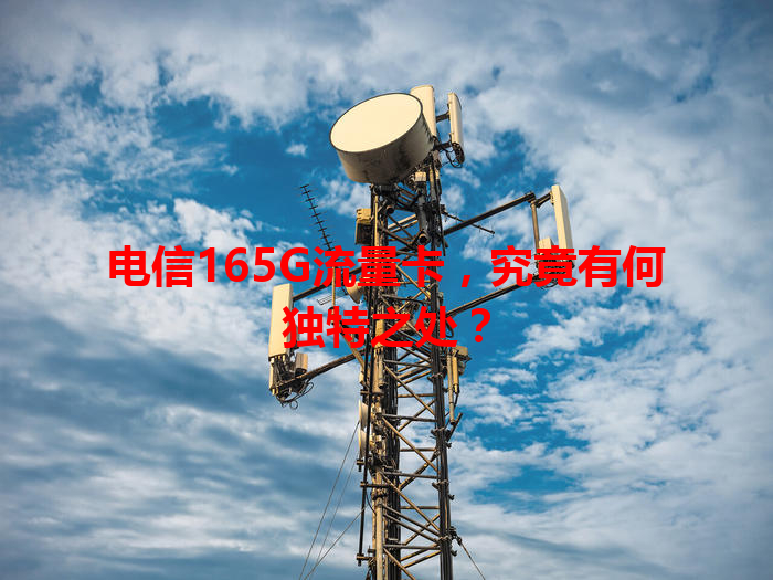 电信165G流量卡，究竟有何独特之处？