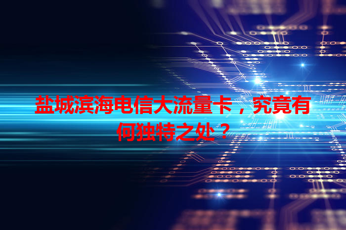 盐城滨海电信大流量卡，究竟有何独特之处？