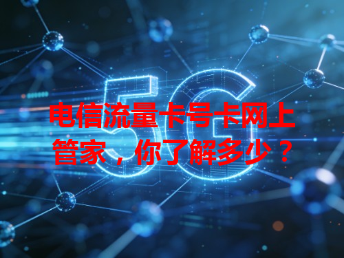 电信流量卡号卡网上管家，你了解多少？