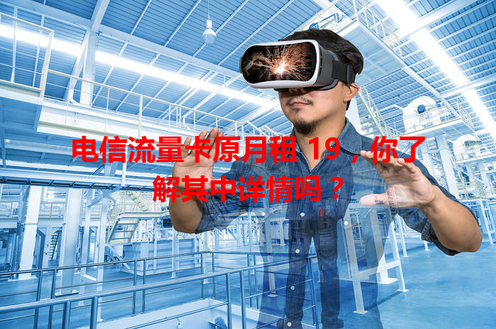 电信流量卡原月租 19，你了解其中详情吗？