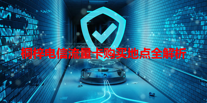 桐梓电信流量卡购买地点全解析