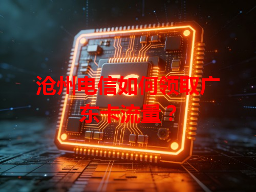 沧州电信如何领取广东卡流量？