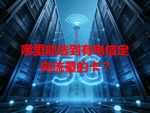 哪里能选到有电信定向流量的卡？