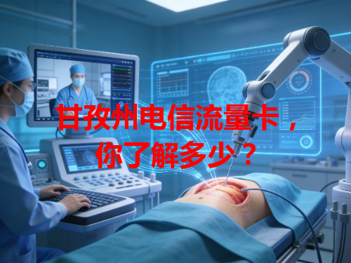 甘孜州电信流量卡，你了解多少？