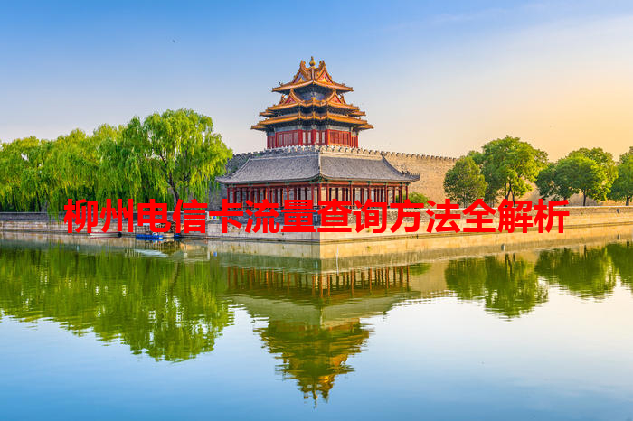 柳州电信卡流量查询方法全解析