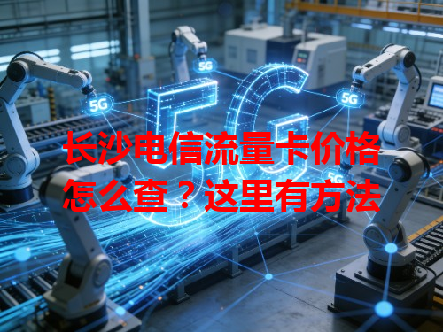 长沙电信流量卡价格怎么查？这里有方法