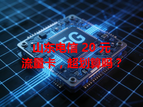 山东电信 20 元流量卡，超划算吗？