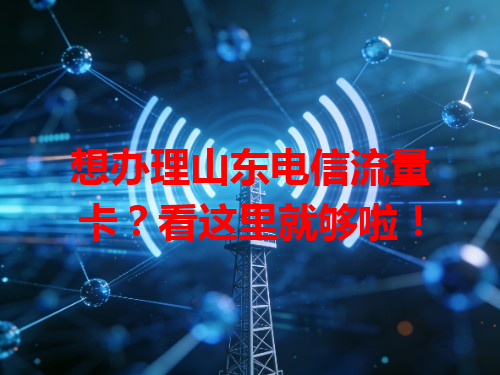 想办理山东电信流量卡？看这里就够啦！
