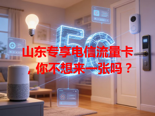 山东专享电信流量卡，你不想来一张吗？