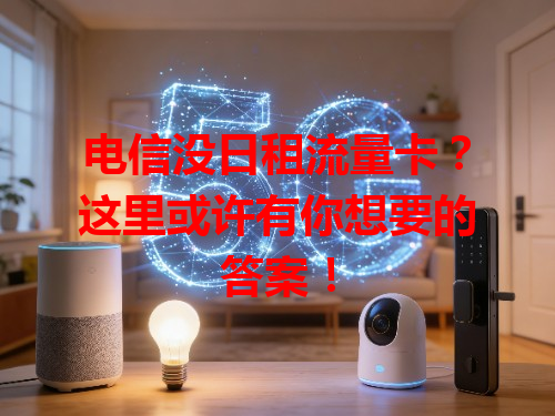 电信没日租流量卡？这里或许有你想要的答案！