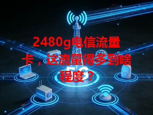 2480g电信流量卡，这流量得多到啥程度？
