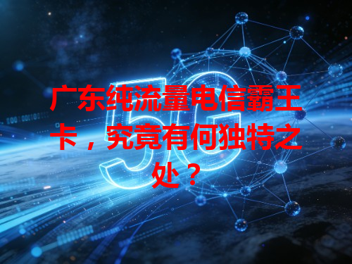 广东纯流量电信霸王卡，究竟有何独特之处？