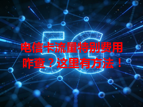 电信卡流量特别费用咋查？这里有方法！