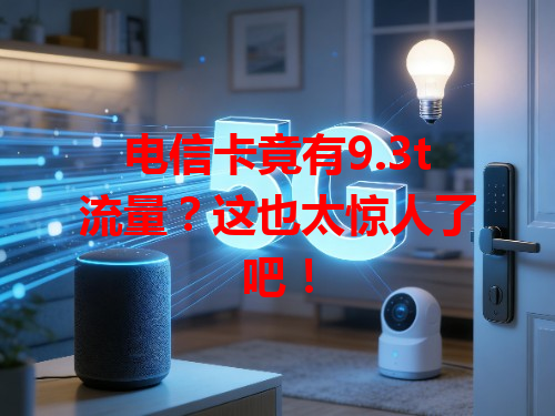 电信卡竟有9.3t流量？这也太惊人了吧！