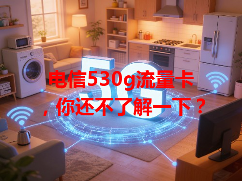 电信530g流量卡，你还不了解一下？