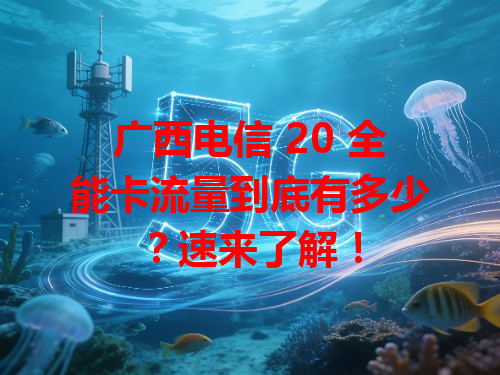 广西电信 20 全能卡流量到底有多少？速来了解！