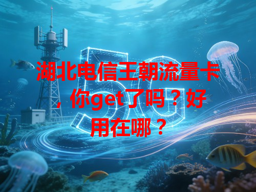 湖北电信王朝流量卡，你get了吗？好用在哪？