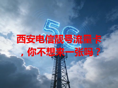 西安电信靓号流量卡，你不想来一张吗？