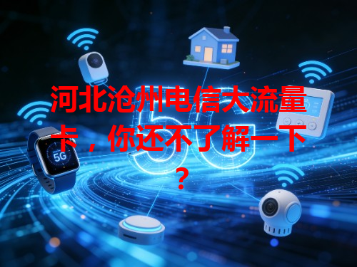 河北沧州电信大流量卡，你还不了解一下？