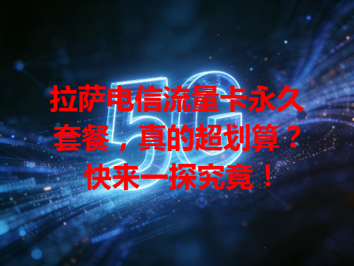拉萨电信流量卡永久套餐，真的超划算？快来一探究竟！