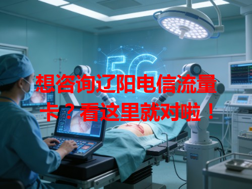 想咨询辽阳电信流量卡？看这里就对啦！