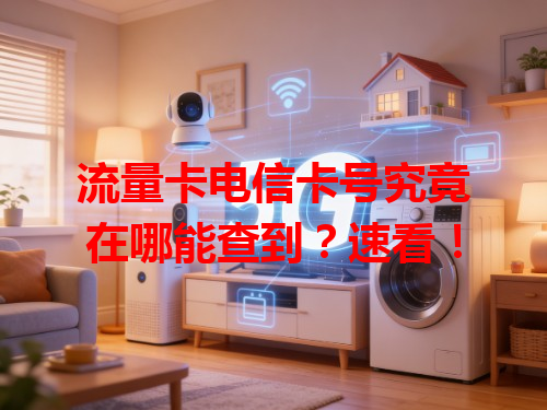 流量卡电信卡号究竟在哪能查到？速看！