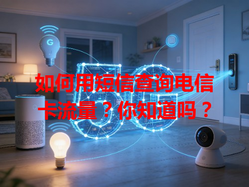 如何用短信查询电信卡流量？你知道吗？